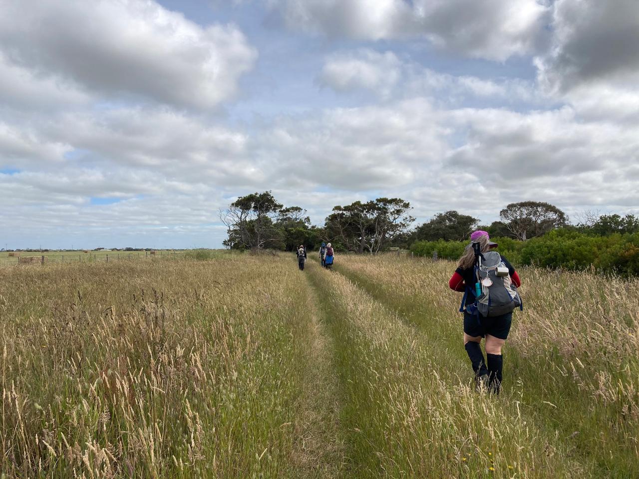 Taste Of The Aussie Camino