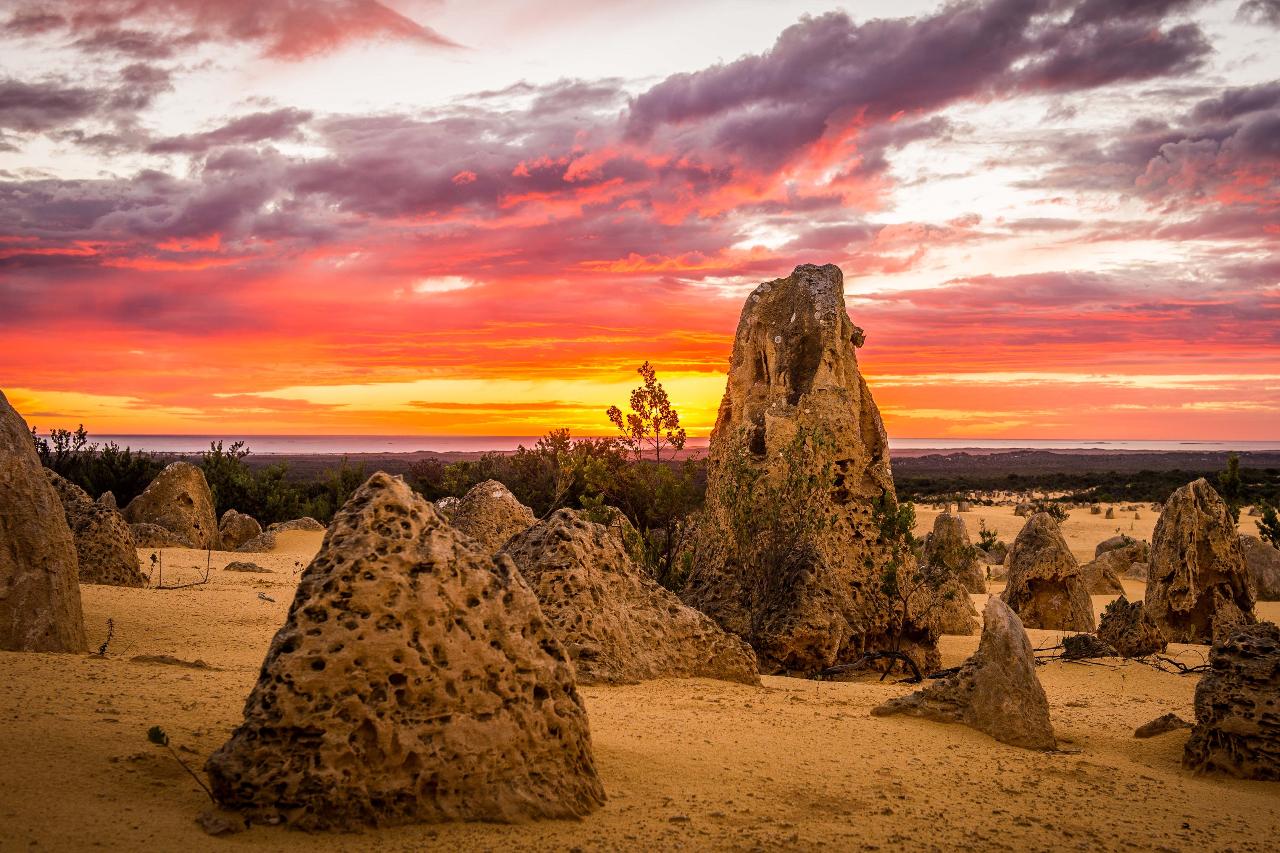 Autopia Tours: 1 Day Pinnacles Sunset Dinner & Stargazing Tour