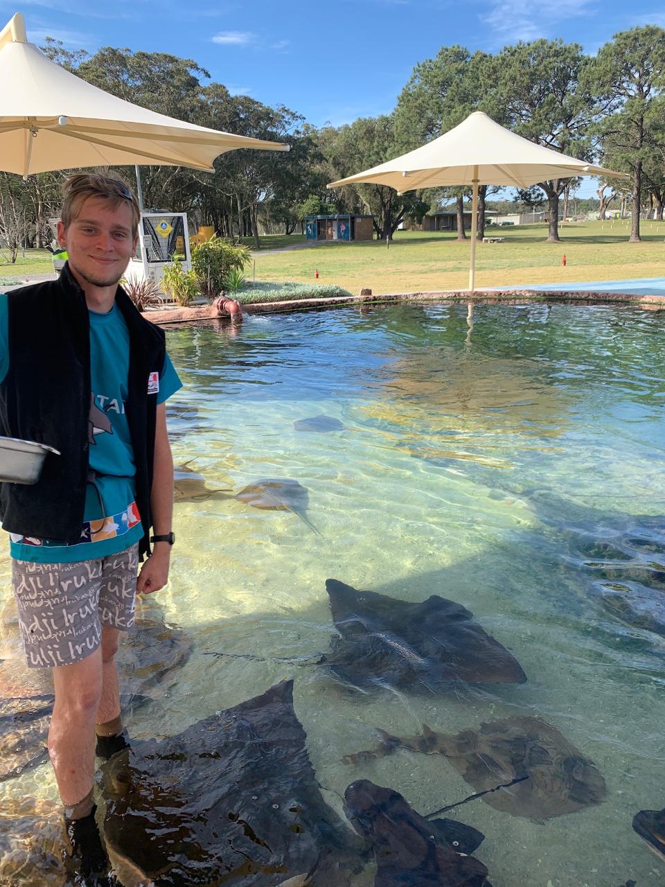 Irukandji Entry Pass & Stepping In The Lagoon Shallows & Shark Food