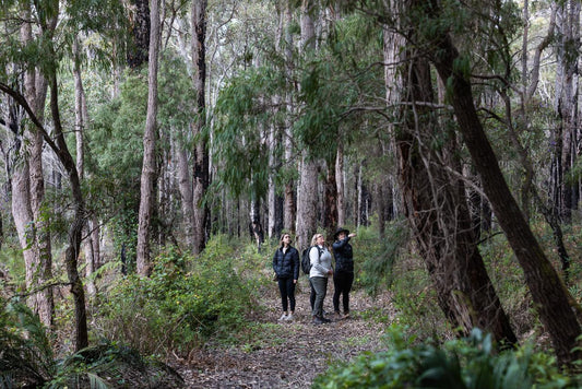 Forest Bathing Margaret River