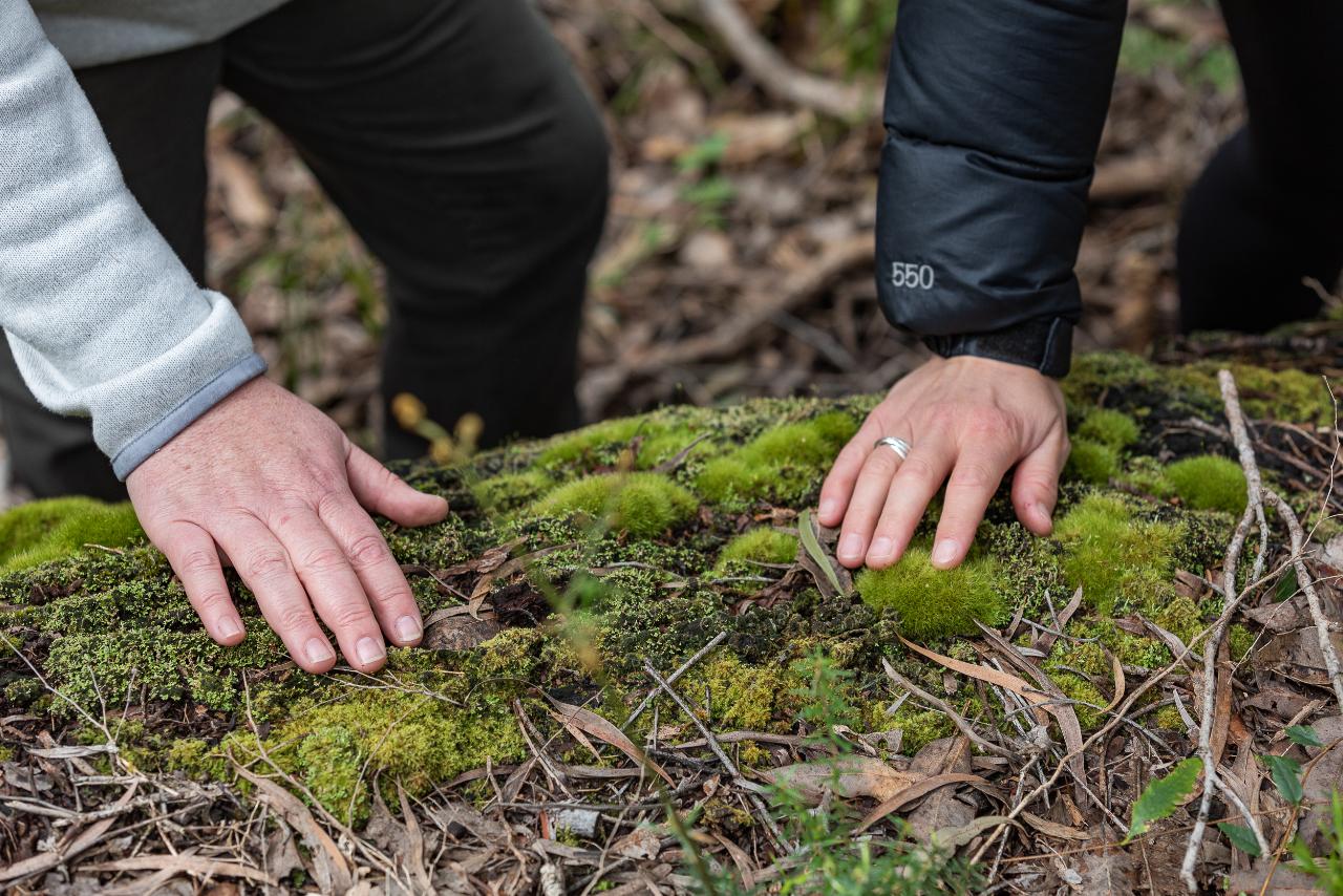 Forest Bathing Margaret River