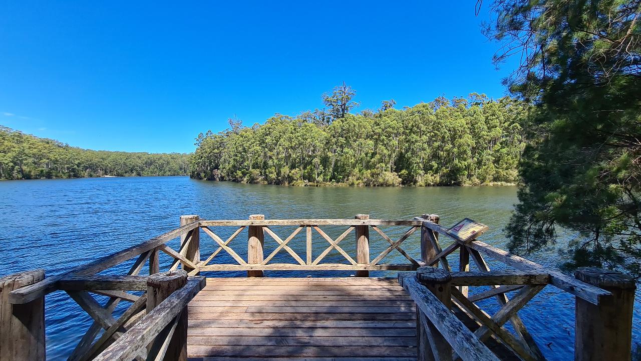 Southern Forests Weekender Experience