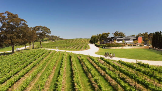 'A Taste Of Hahndorf' Gourmet Food & Wine E-Bike Tour