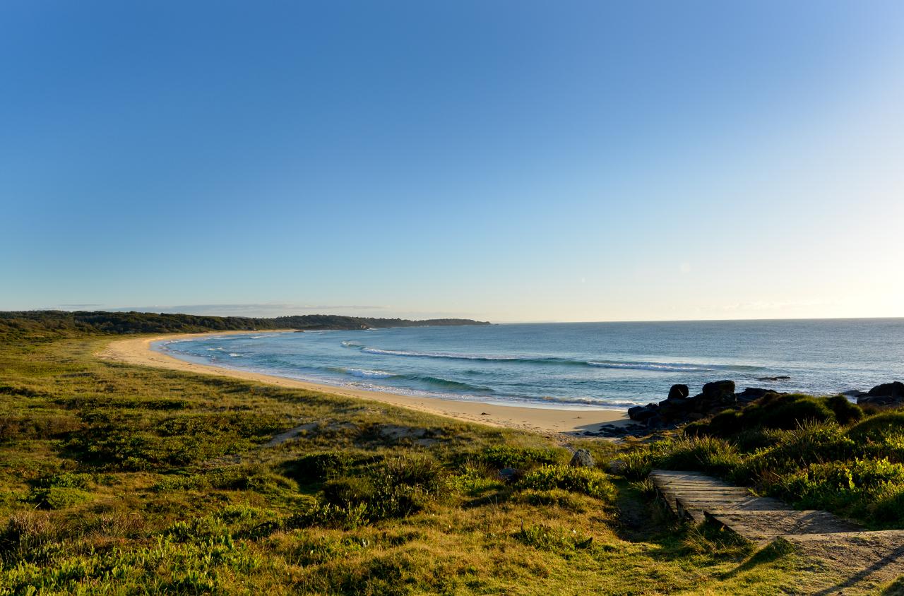 Welcome To Country - Bush Tucker & Bush Medicine Cultural Walk With Yuin Knowledge Holder