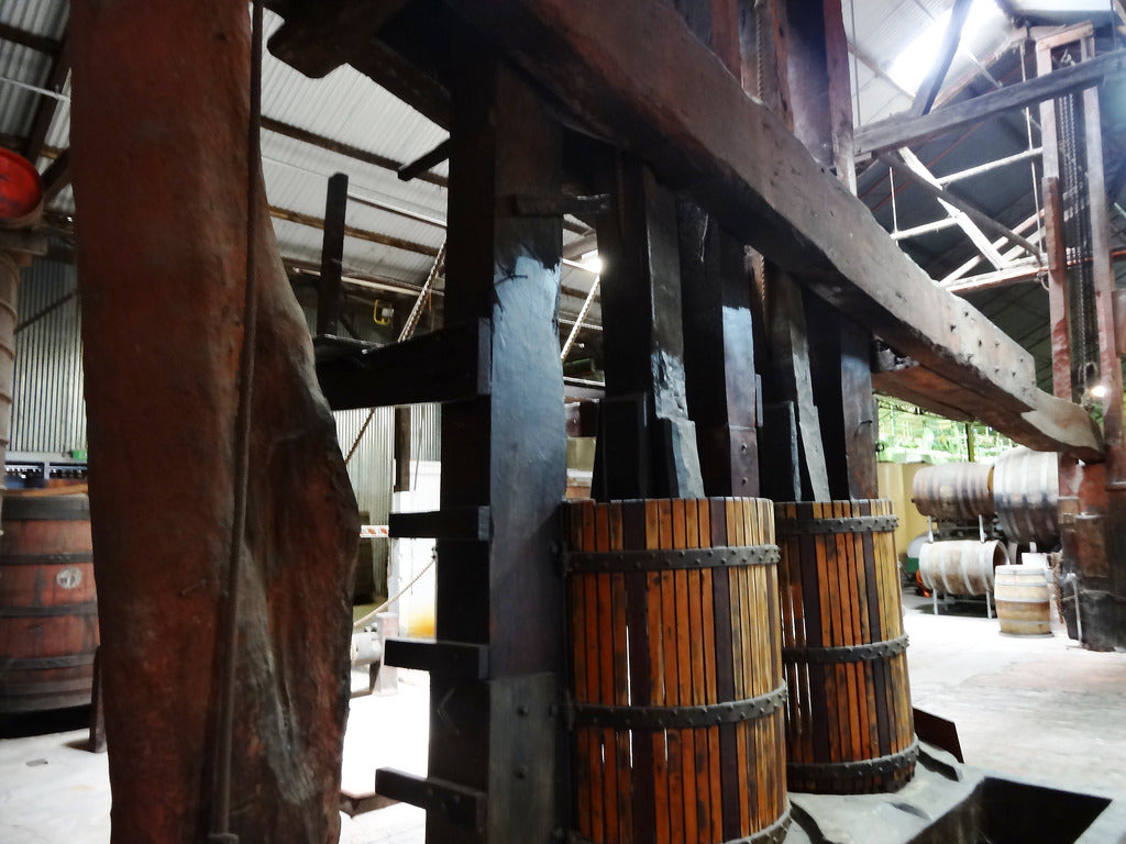 Langhorne Creek 'Grapes For Good'