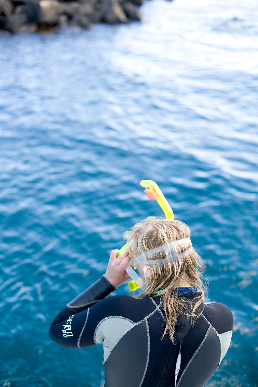 Small Group Seal Swim - Private Charter