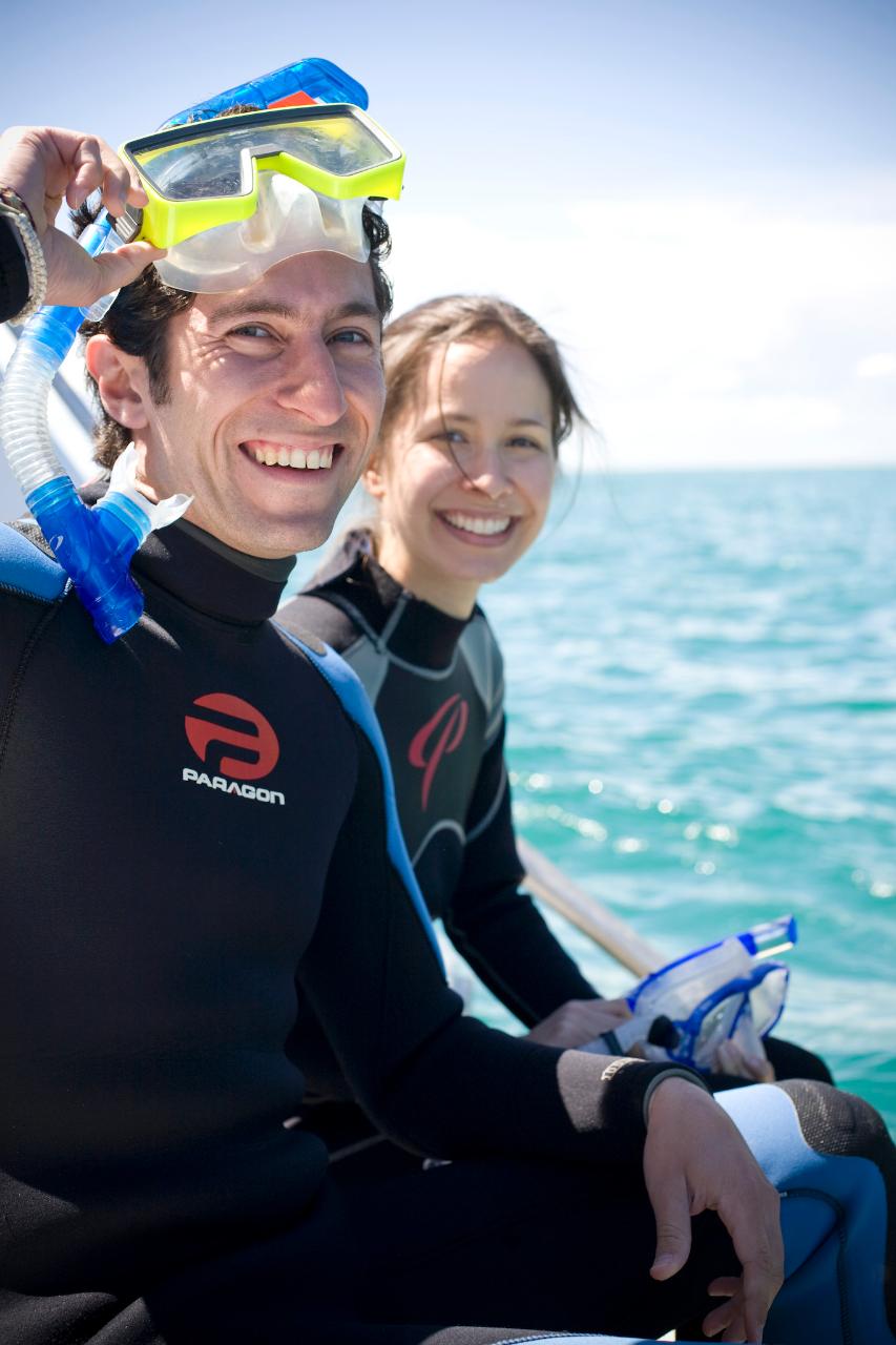 Small Group Dolphin & Seal Swim - Private Charter