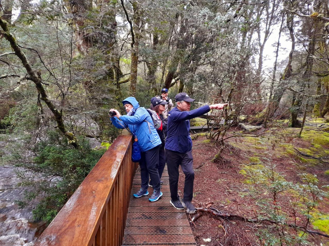 Big Day Out From Hobart To Cradle Mountain