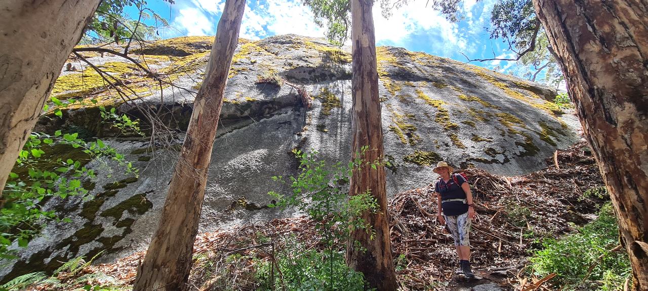 Walpole Wilderness Gourmet Adventure