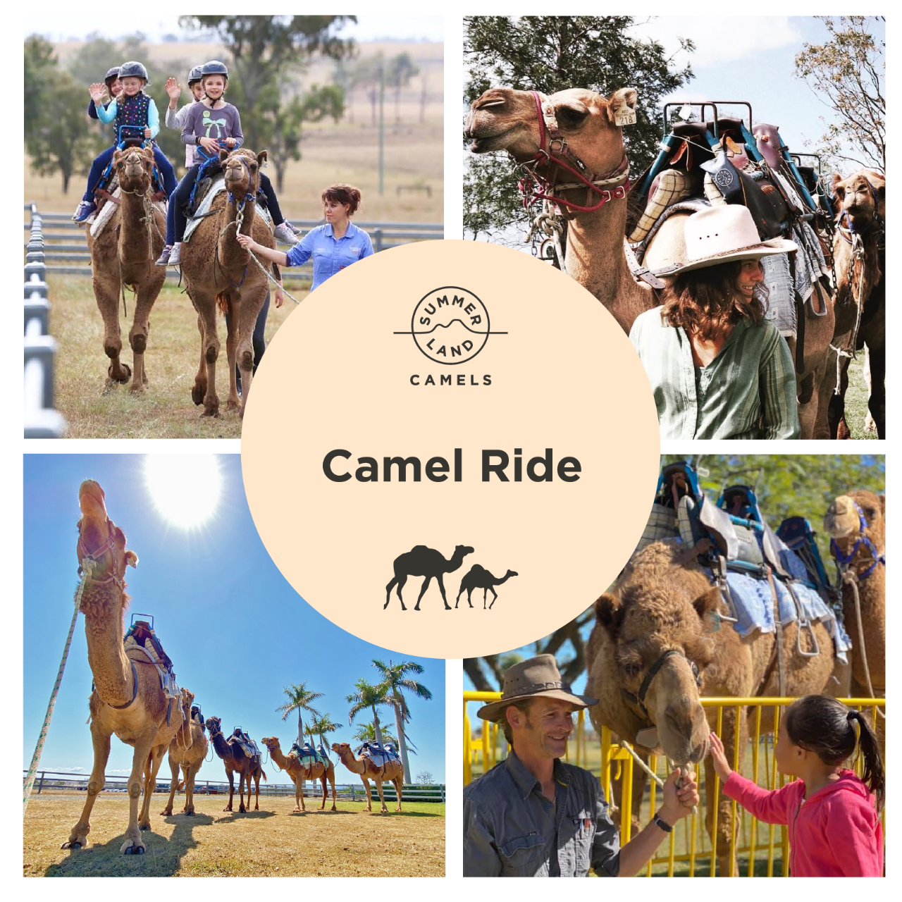 Camel Ride – We Wander Experiences
