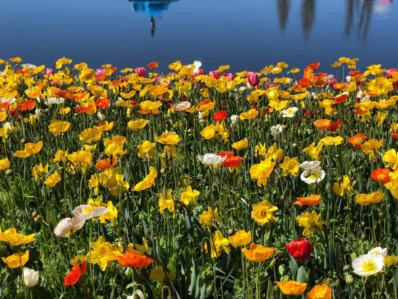 Floriade Tour