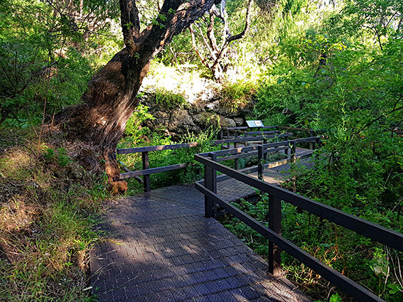 Cape To Cape -  End To End Hiking & Resort Experience