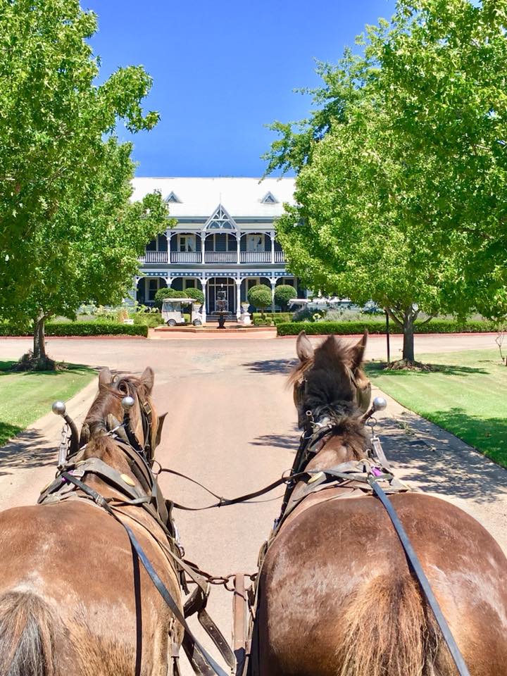 Romantic Couple's Private Horse And Carriage Wine Tour