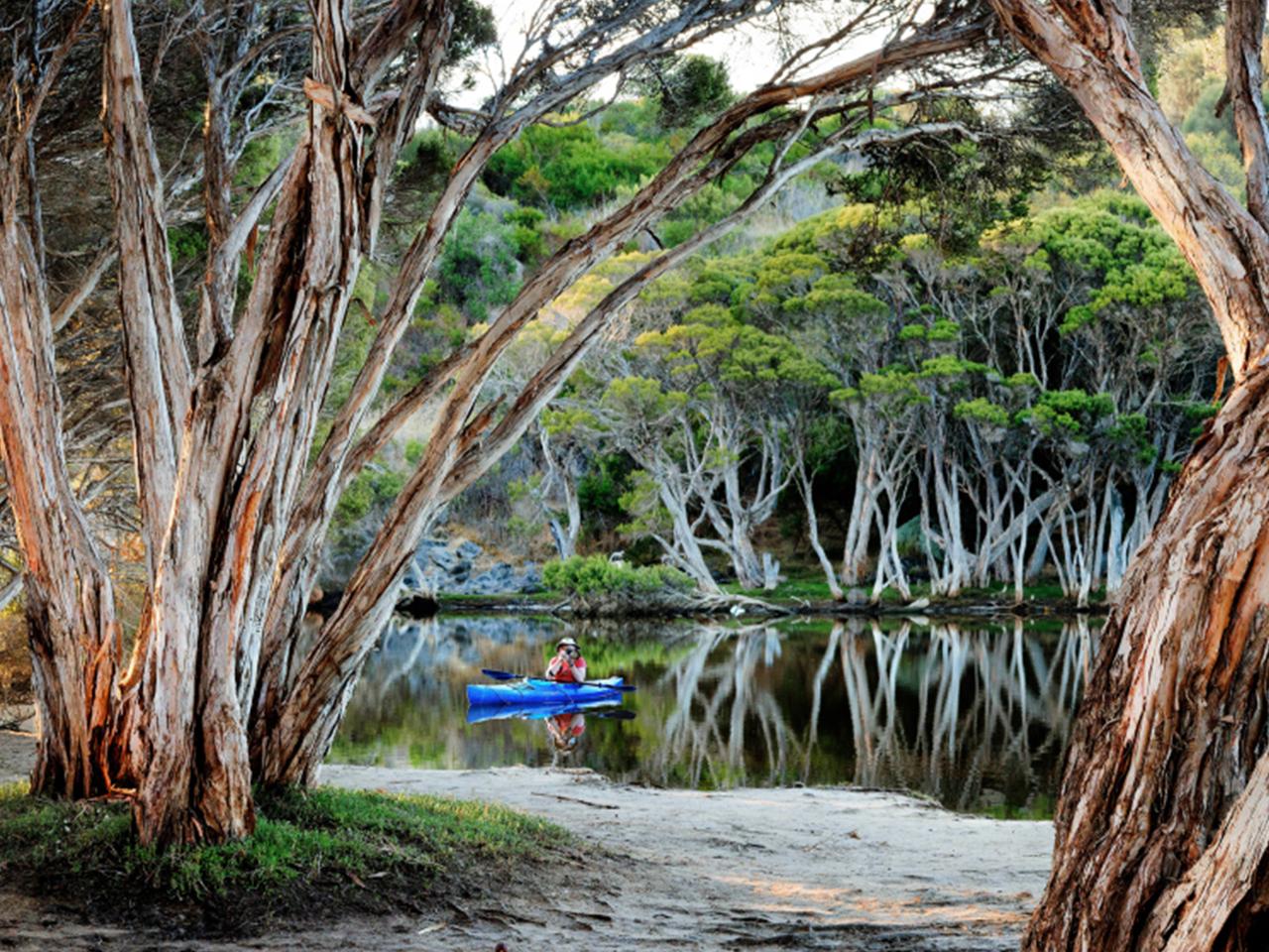 Private Coach - Lighthouse, Kangaroos And Views 24 Seater