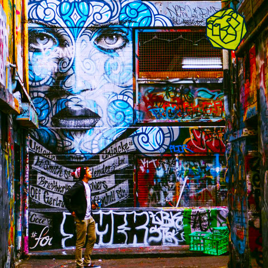 Melbourne Cbd Street Art Walking Tour