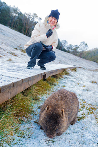 Shore Excursion - Cradle Mountain Day Tour