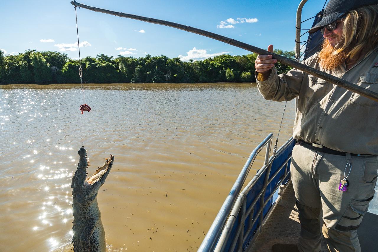 Autopia Tours: Jumping Crocodile Tour From Darwin