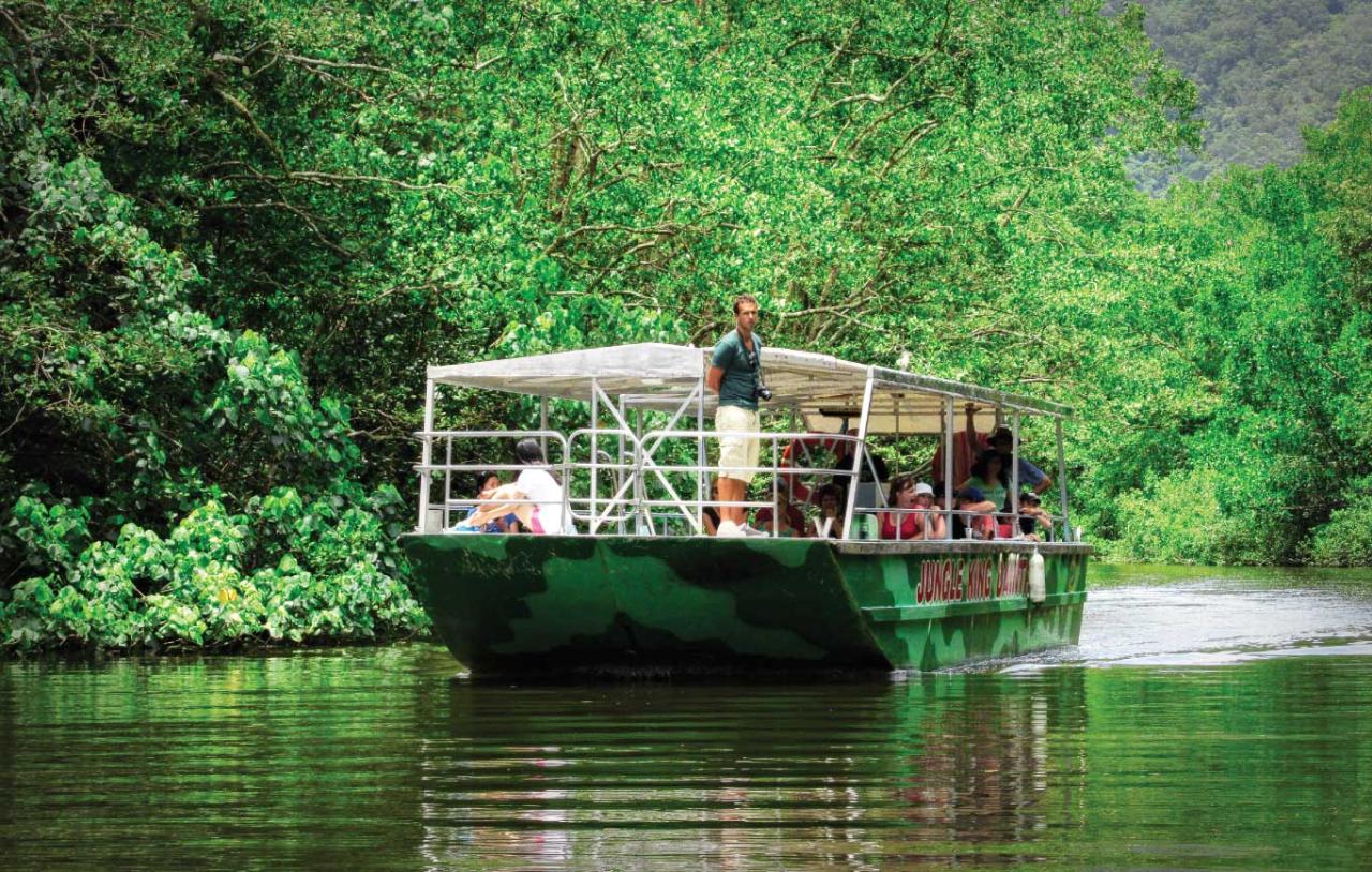 Crocodile Express Daintree Rainforest & Wildlife Cruise From Daintree Village
