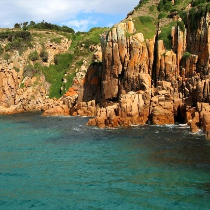 Cape Cruise - Family