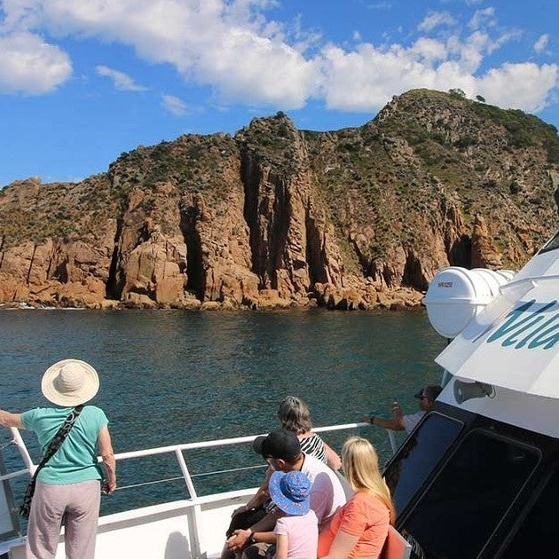 Cape Cruise - Family