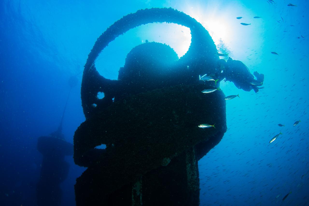 Wonders Of The Gold Coast Double-Dive (Wonder Reef)