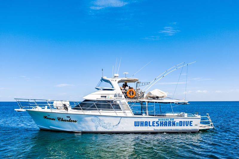 Whale Shark Adventure Swims Exmouth