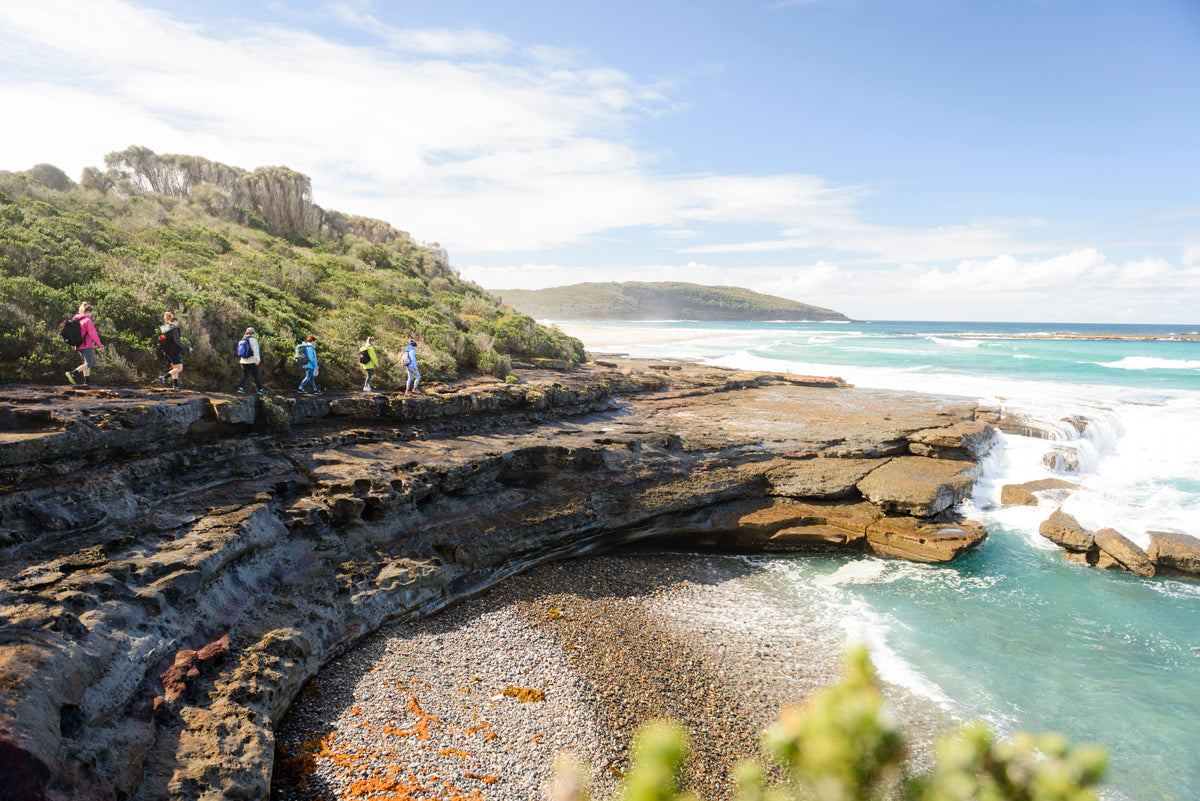 Murramarang National Park Day Tour With Kayak Option