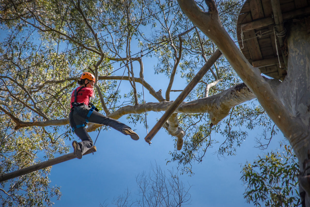 Geronimo Tree Rope Course Tree Ropes Course – We Wander Experiences