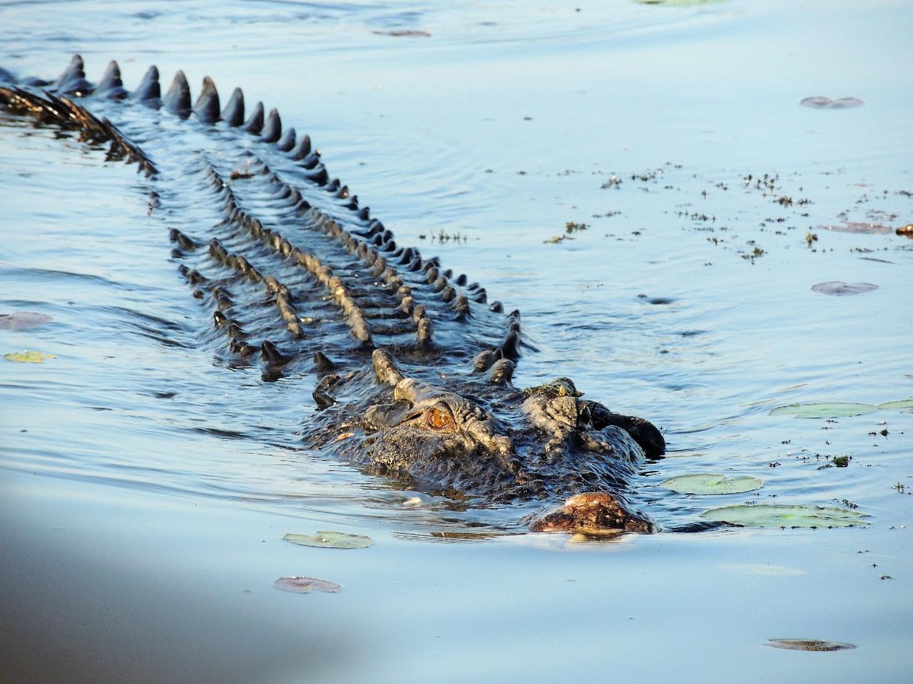 Best In The Wet - 3 Day Litchfield & Kakadu