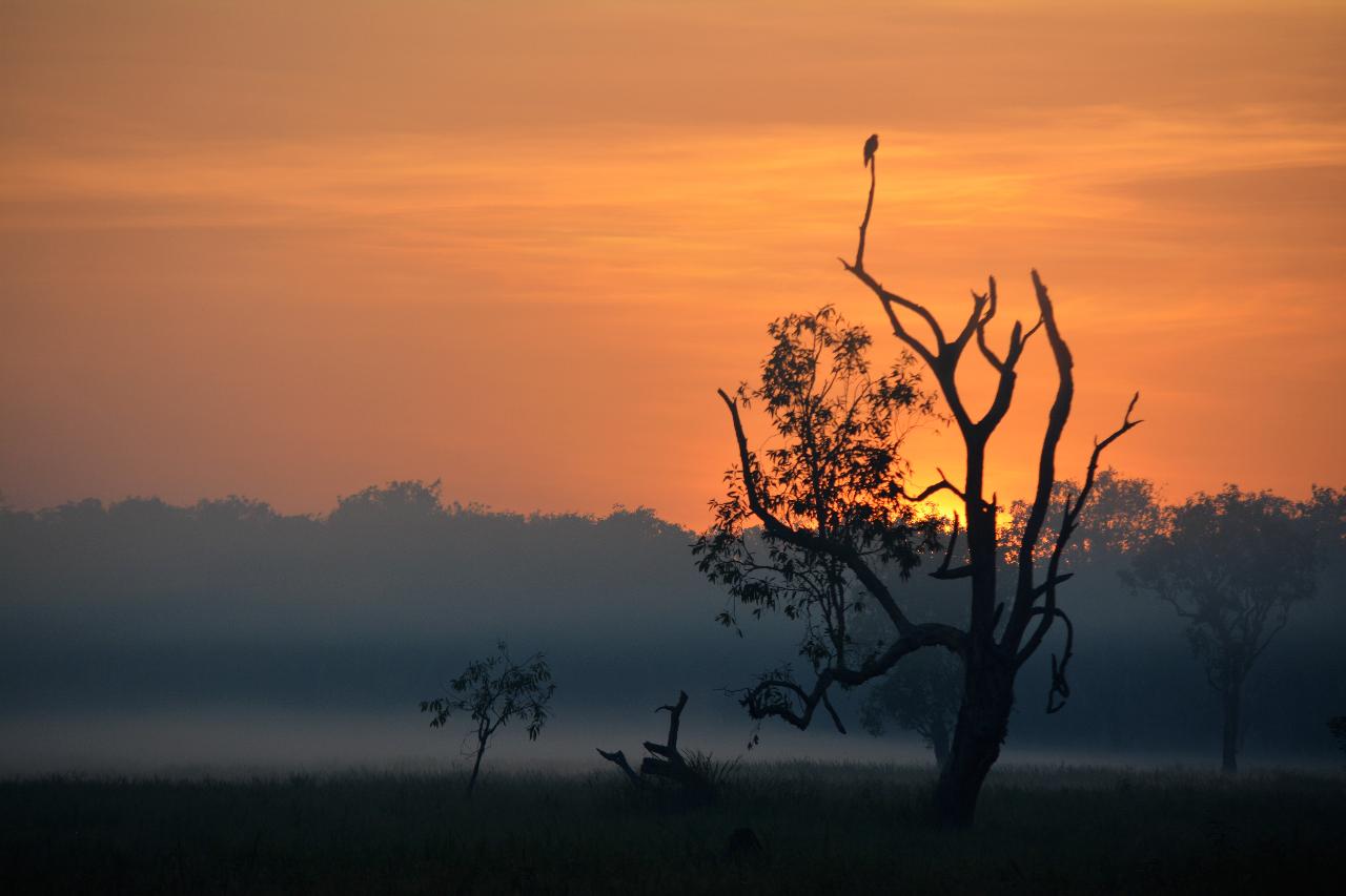 Best In The Wet - 3 Day Litchfield & Kakadu