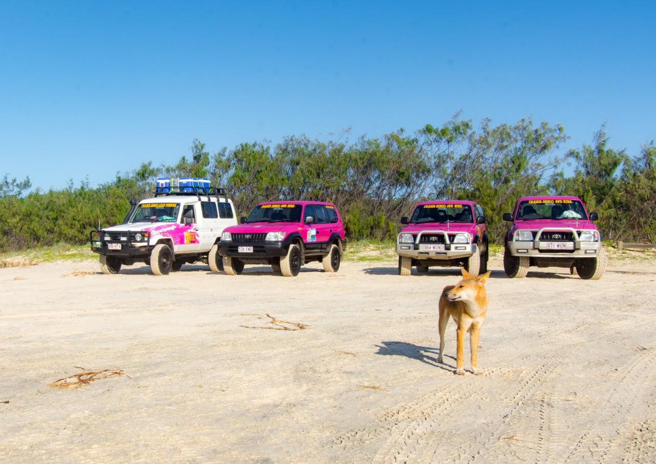 Fraser Island Beach House Tag-Along 4Wd Tour 2-Day