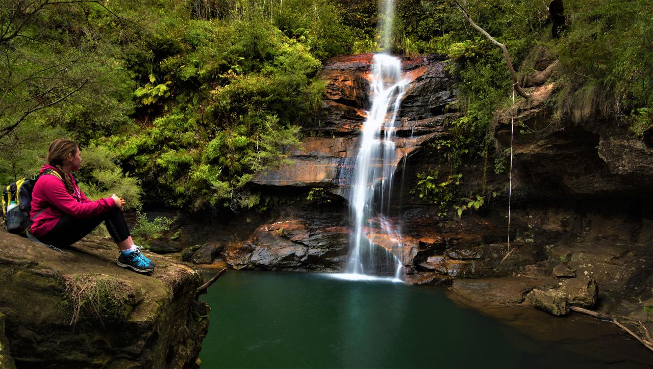 Blue Mountains Off The Beaten Track 4Wd Day Adventure Wildlife + River Cruise