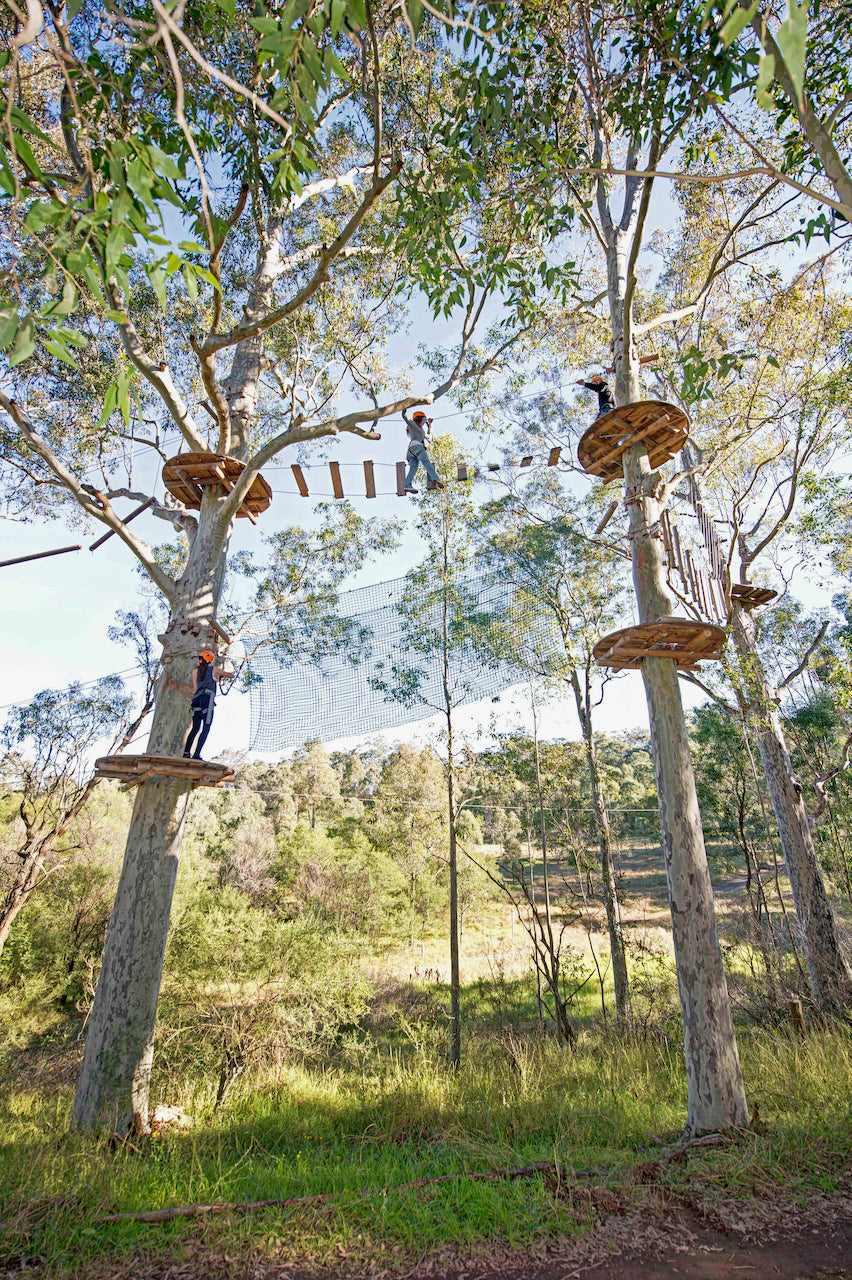 Tree Rope Course Plan Tree Ropes Course – We Wander Experiences