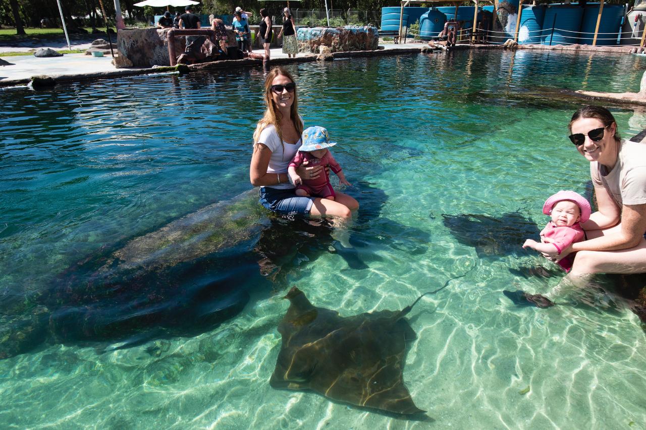 Irukandji Entry Pass & Stepping In The Lagoon Shallows & Shark Food