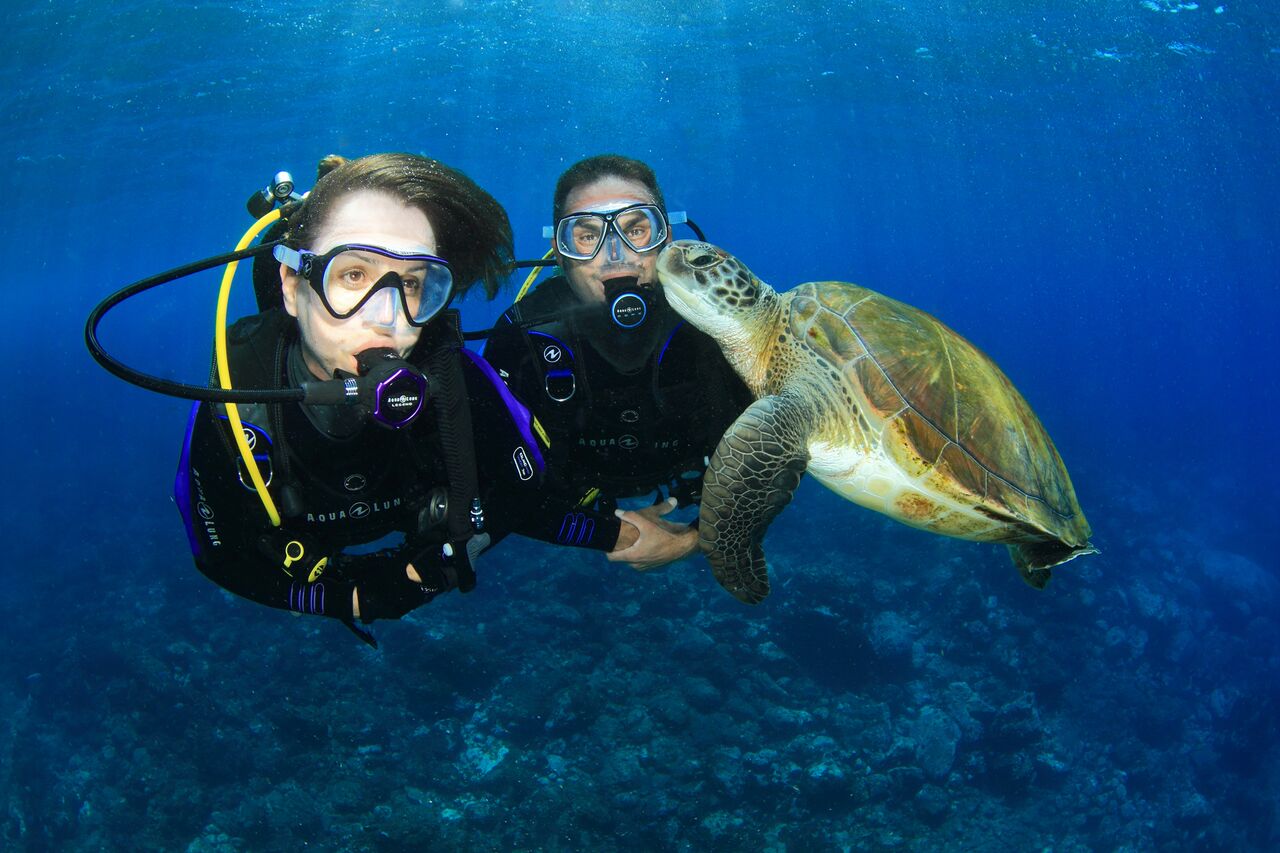 Discover Scuba Diving