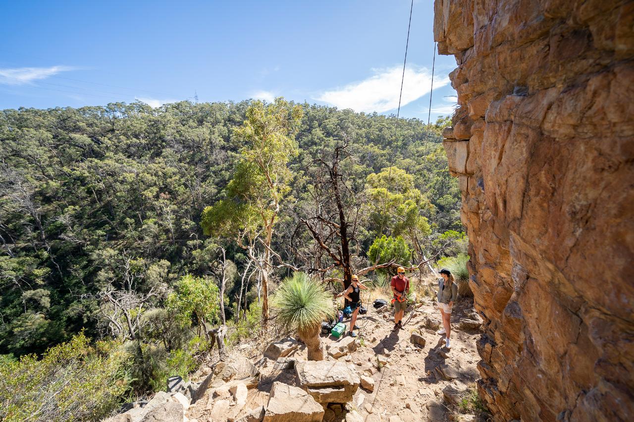 Rock Climb & Abseil At Morialta