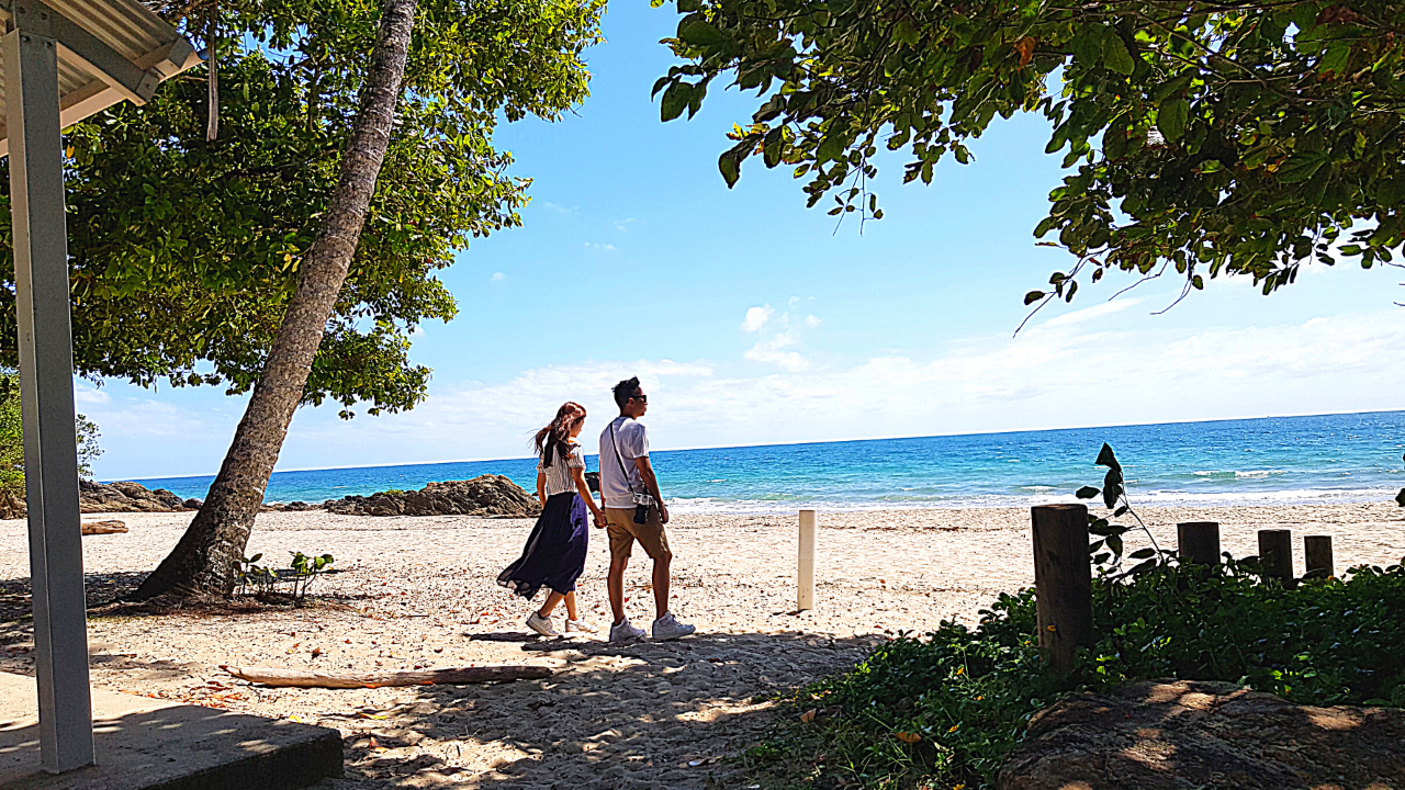 The Paronella Experience