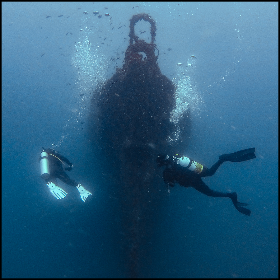 Ex-Hmas Brisbane Double Dive