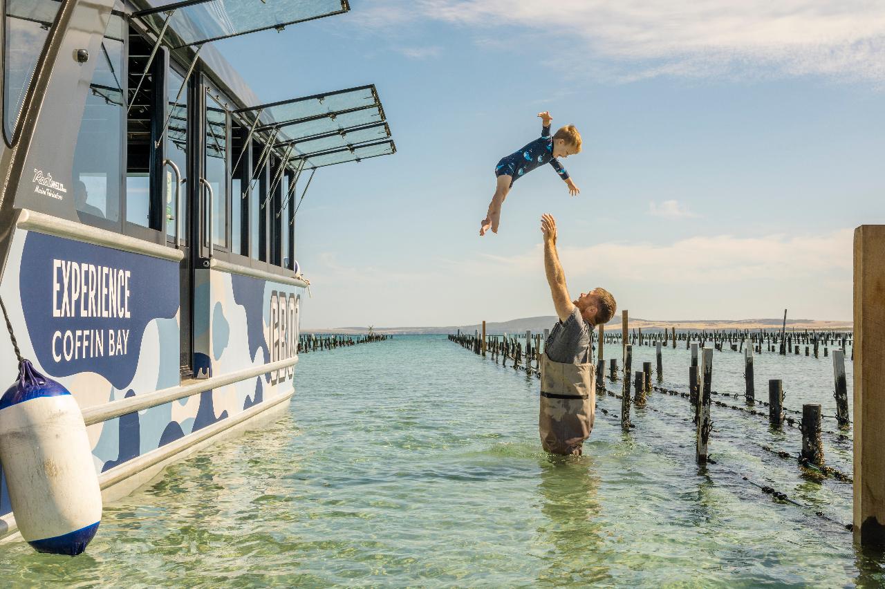 Coffin Bay Oyster Farm & Bay Tour - 12 Oysters - Including Wading Experience