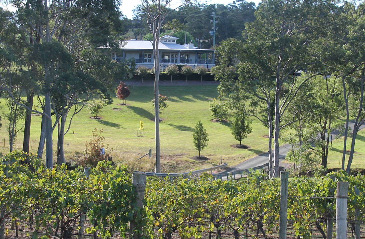 Tulloch Wines - Wine Tasting Paired With Local Handmade Chocolates