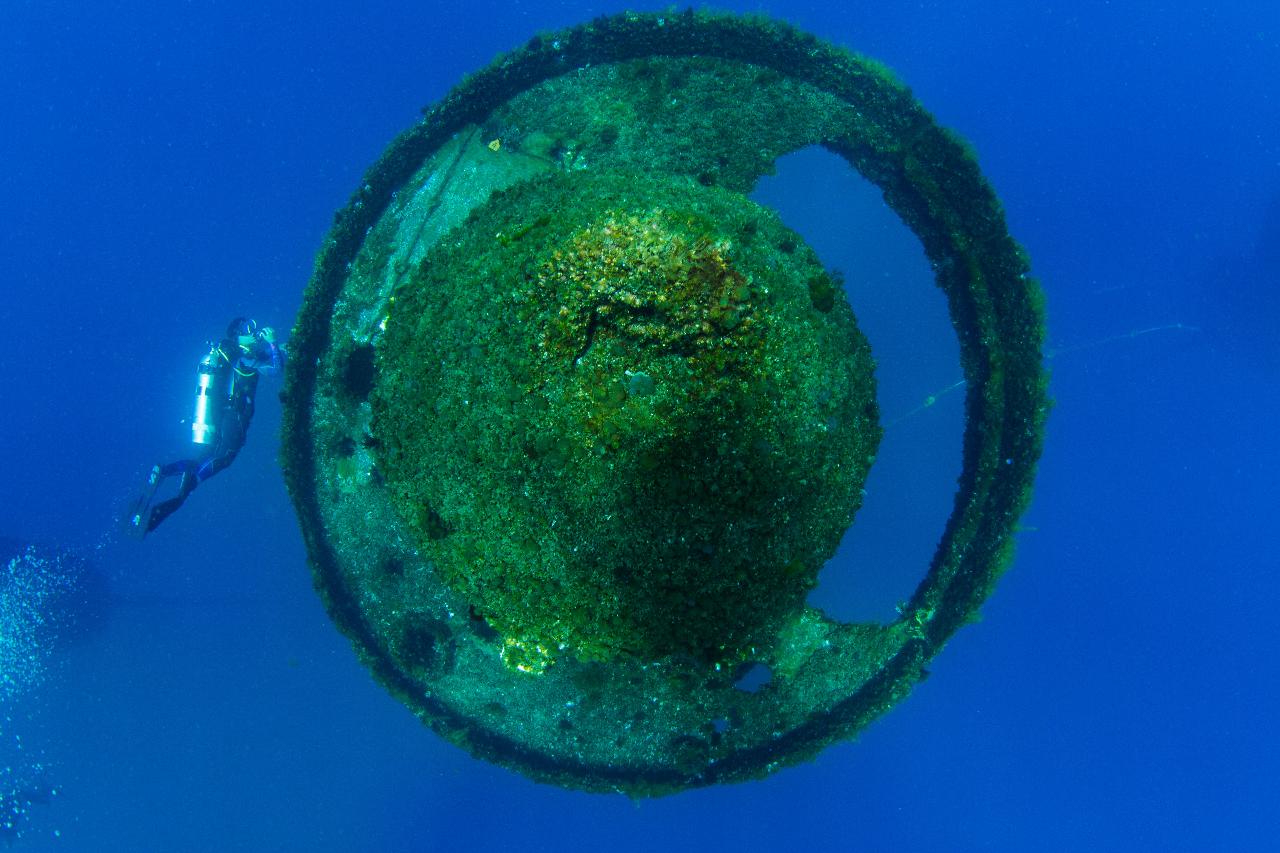 Wonders Of The Gold Coast Double-Dive (Wonder Reef)