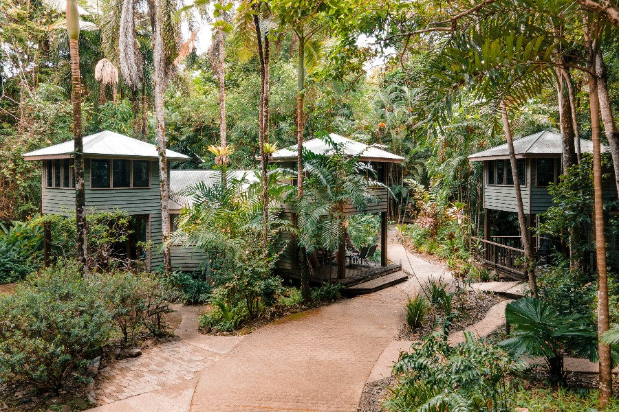 Jungle Stopver At Ferntree Rainforest Lodge