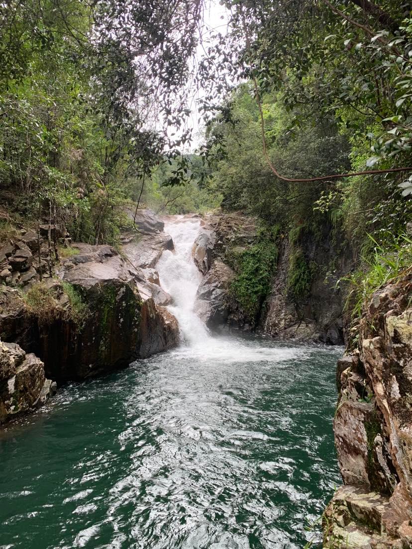 Finchy's Gorgeous Gorge