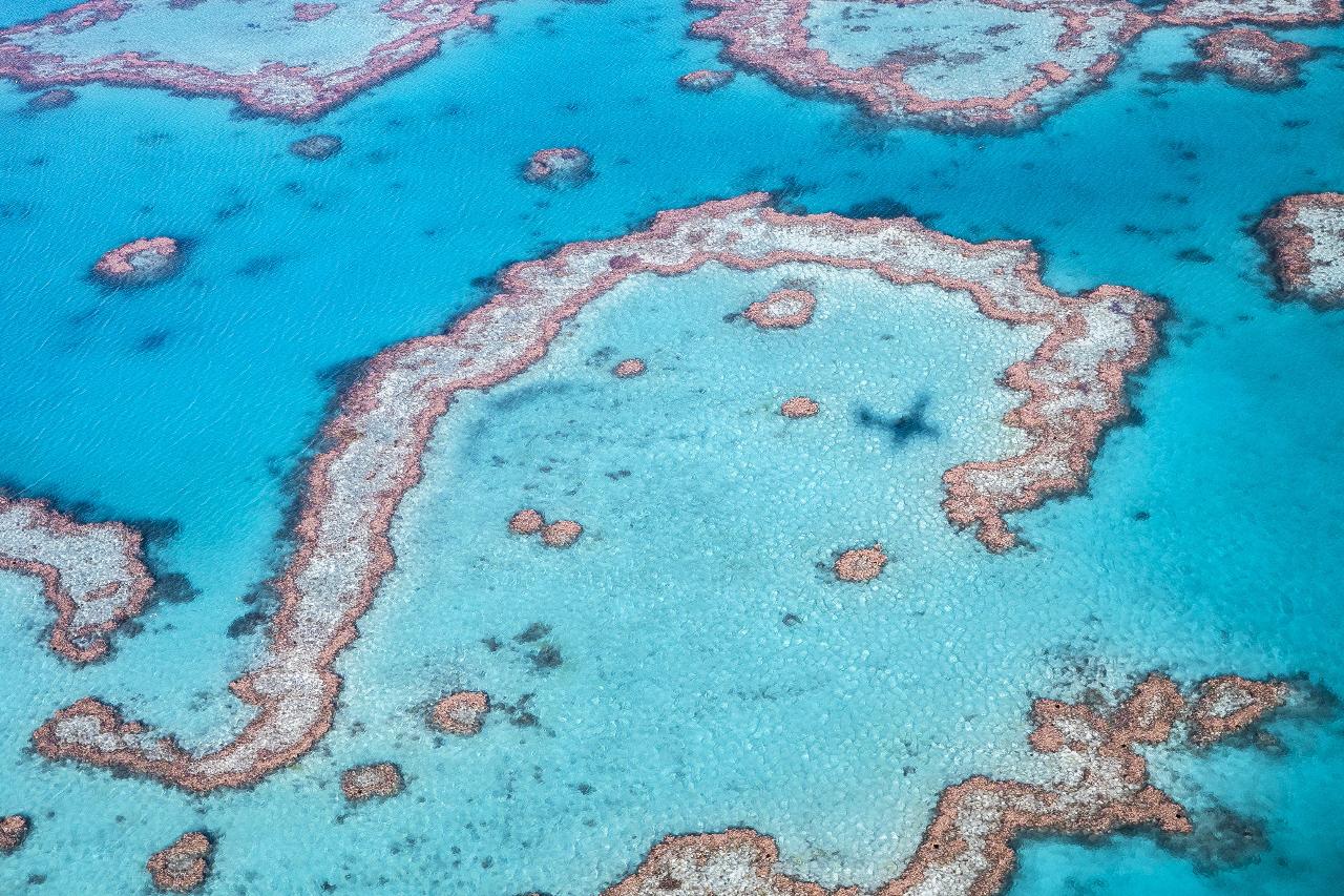 One Hour Scenic Flight Over Whitsundays