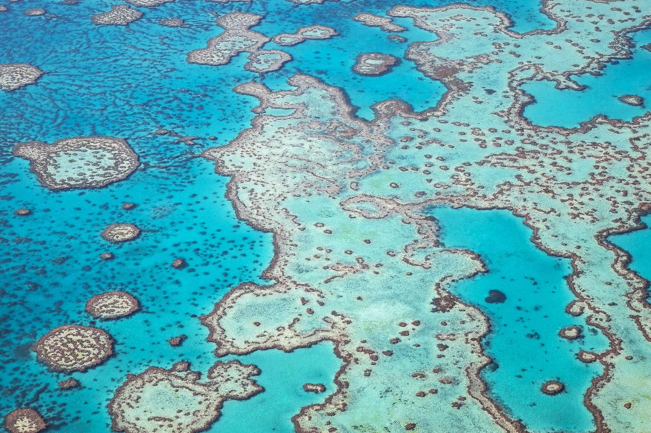 One Hour Scenic Flight Over Whitsundays