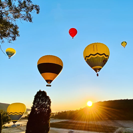 Hot Air Balloon Over The Hunter Valley