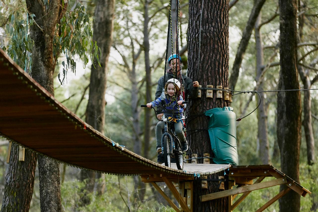 Forest Adventures Park Entry