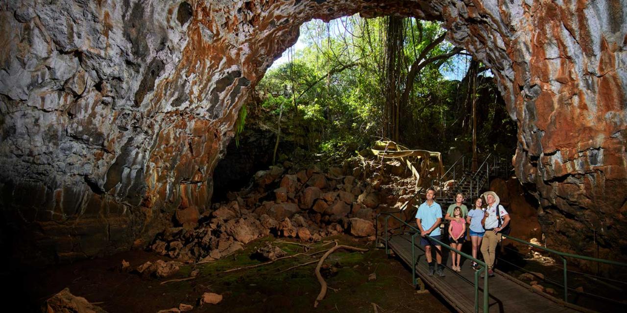 Private 1 Day Undara Tour