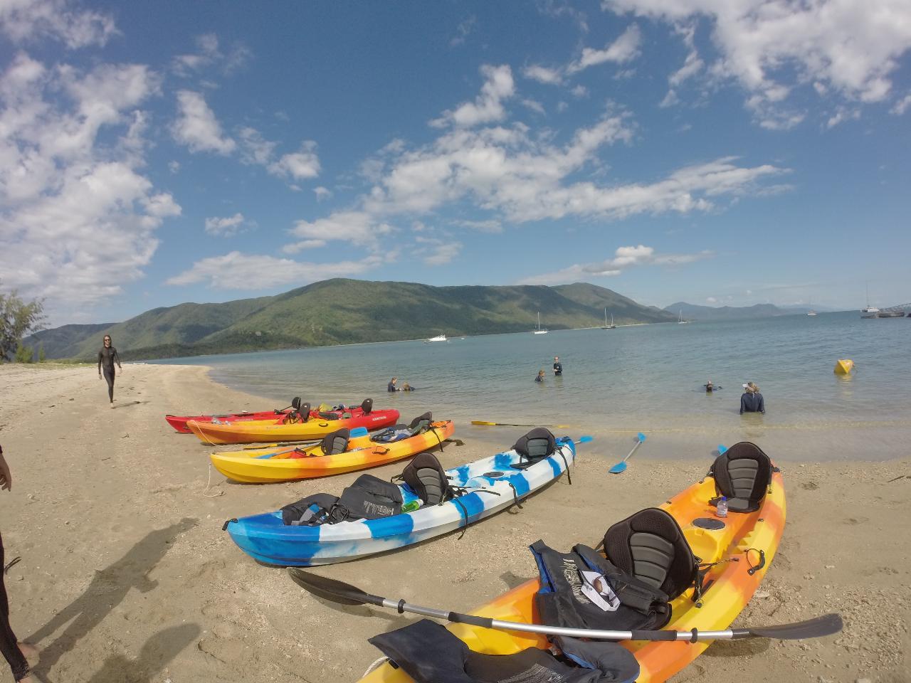 Kayak Turtle Tour - Half Day