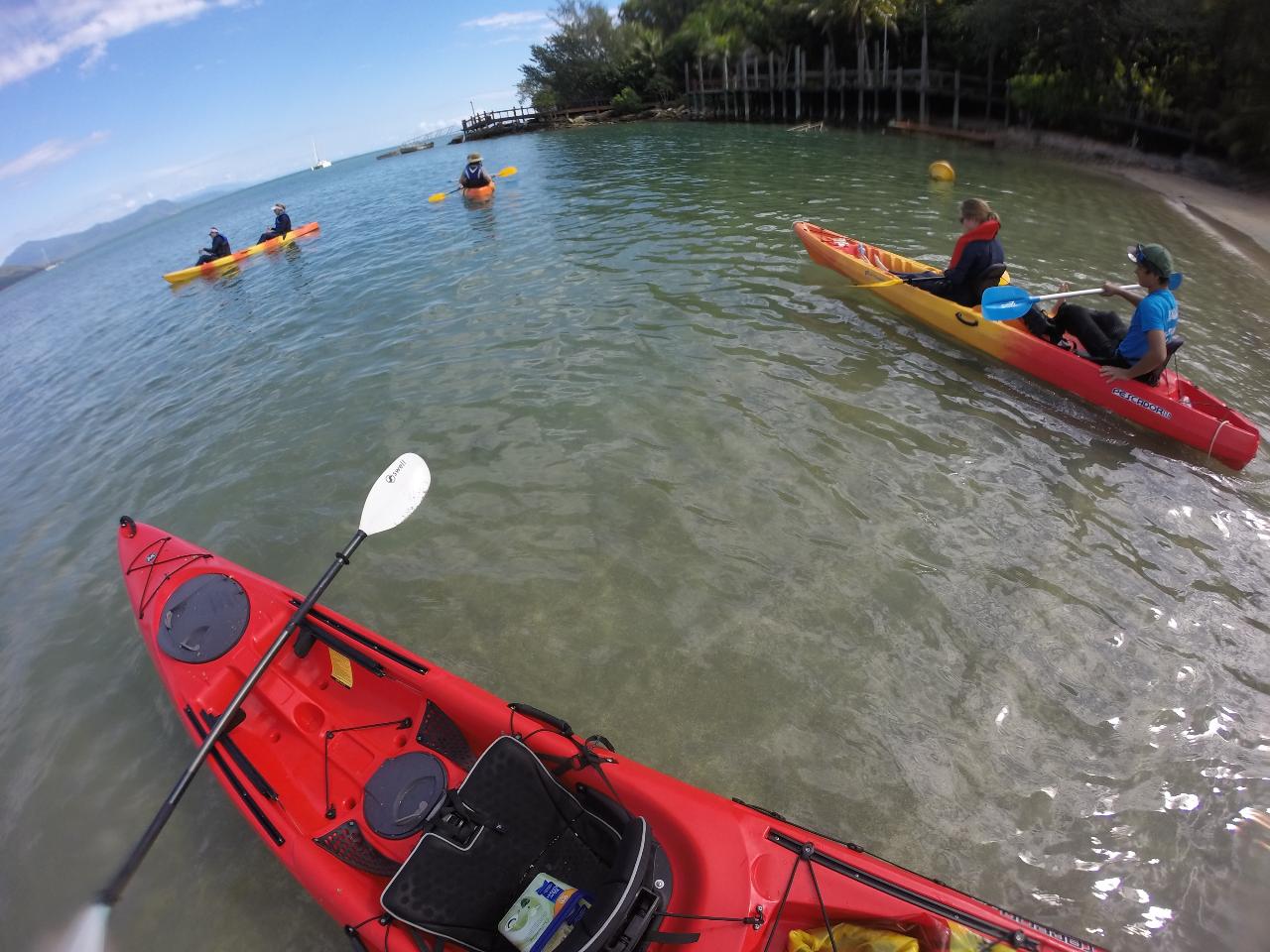 Kayak Turtle Tour - Half Day